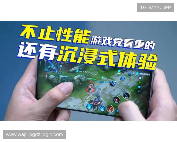 PG游戏论坛的安全与隐私保护措施,保障玩家的个人信息安全与良好体验