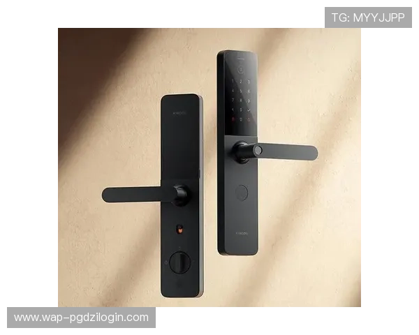 便捷高效的PG电子线上登陆入口指南，助你轻松应对各种登录问题