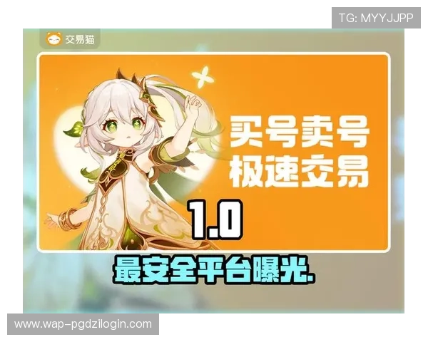 PG官方网入口安全稳定登录指南，确保玩家顺利进入游戏避免账号安全风险